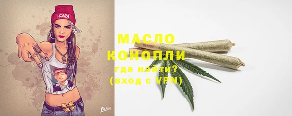 mdpv Богородицк